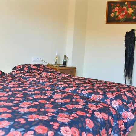 Casa Bienvenida - La Fallera Carcagente